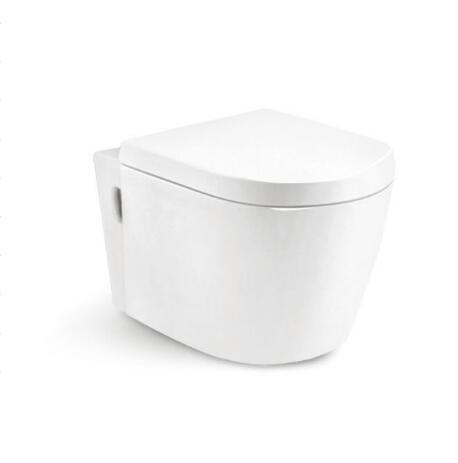 Wall Hung Toilet T8210